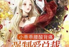 完结版《小乖乖腰酸背痛，强制爱总裁是疯批》章节阅读-推书帮