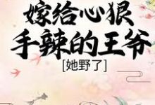 《嫁给心狠手辣的王爷后，她野了》小说主角晏南柯宫祀绝章节章节免费在线阅读-推书帮