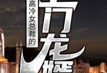 完结版《高冷女总裁的上门龙婿》章节目录在线阅读-推书帮