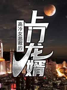 完结版《高冷女总裁的上门龙婿》章节目录在线阅读