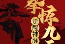 觉醒神脉后，一拳惊九天小说完结了吗？在哪里可以免费读到？-推书帮