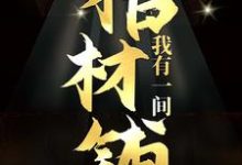 完结版《我有一间棺材铺》章节阅读-推书帮