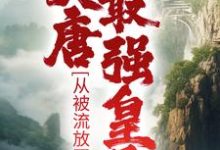 主角李祐小说完结版在线阅读，大唐最强皇子：从被流放开始免费看-推书帮