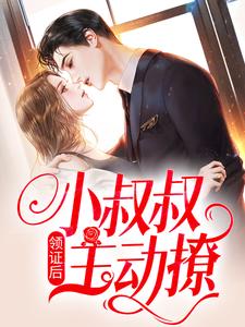 完结版《领证后，小叔叔主动撩》章节目录在线阅读