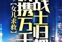 《女儿求救，我携万千战士归都》全集免费在线阅读（李云天叶千语）-推书帮