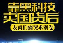 靠黑科技卖国货后，友商们痛哭求别卷免费阅读，靠黑科技卖国货后，友商们痛哭求别卷苏晨-推书帮