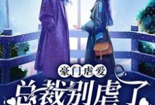 完结版《豪门虐爱：总裁别虐了，夫人已婚了》章节阅读-推书帮