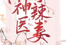 《神医小辣妻》小说大结局免费试读 杜若江漓小说-推书帮