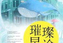 完结版《璀璨星途》在线免费阅读-推书帮