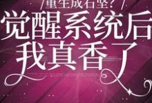 《重生成石坚？觉醒系统我后真香了》小说大结局免费试读 石坚千鹤林凤娇小说-推书帮