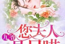 九爷，您夫人是只喵章节免费在线阅读，郁婉霍九卿完结版-推书帮