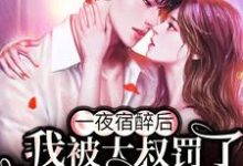 完结版《一夜宿醉后，我被大叔罚了100遍家规》章节阅读-推书帮