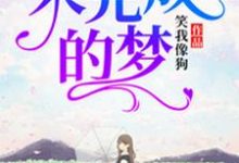 完结版《未完成的梦》章节目录在线阅读-推书帮