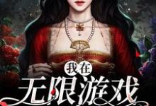 完结版《我在无限游戏里度假》章节阅读-推书帮