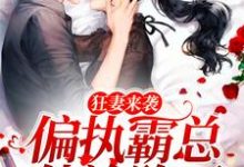 完结版《狂妻来袭，偏执霸总他沦陷了》章节阅读-推书帮