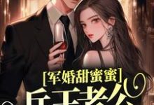 完结版《军婚甜蜜蜜，兵王老公会宠妻》章节阅读-推书帮