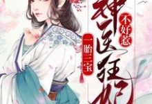 完结版《一胎三宝：神医狂妃不好惹》章节目录在线阅读-推书帮