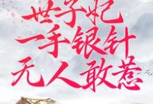 《被逼替嫁：世子妃一手银针无人敢惹》小说大结局免费试读 周卿辞盛九铮小说-推书帮