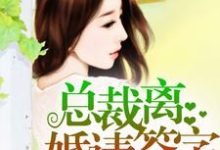 小说《总裁，离婚请签字》在线章节阅读-推书帮