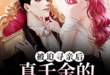 完结版《被迫寻亲后，真千金的马甲掉疯了》在线免费阅读-推书帮