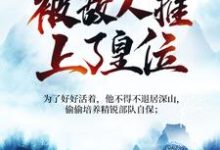 小说《被追杀的我，被敌人推上了皇位》章节阅读-推书帮