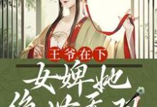 完结版《王爷在下：女婢她绝世无双》在线免费阅读-推书帮