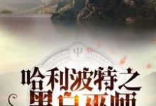 哈利波特之黑白巫师免费阅读，哈利波特之黑白巫师章节在线阅读-推书帮