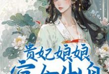 《贵妃娘娘宫女出身，皇上偏宠着》全集免费在线阅读（沈清禾萧祈）-推书帮