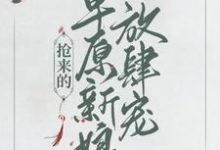 小说《抢来的草原新娘放肆宠》章节免费阅读-推书帮