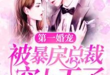 完结版《第一婚宠：被暴戾总裁宠上天了》免费阅读-推书帮