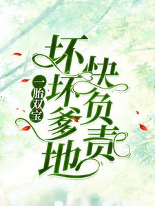 已完结小说《一胎双宝：坏坏爹地快负责》在线章节阅读