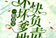 完结版《一胎双宝：坏坏爹地快负责》章节阅读-推书帮