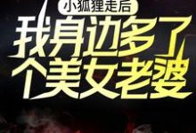 《小狐狸走后，我身边多了个美女老婆》小说主角卫青狐倾倾章节章节免费在线阅读-推书帮