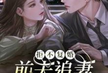 完结版《拒不复婚：前夫追妻杀疯了》章节阅读-推书帮