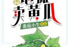 《开局地摊卖黄瓜》小说章节在线试读，《开局地摊卖黄瓜》最新章节目录-推书帮