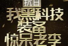 完结版《抗日：我黑科技装备惊呆老李》免费阅读-推书帮