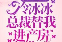 主人公严辞步姗小说灵魂互换后，冷冰冰总裁替我进产房在线章节阅读-推书帮