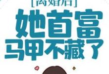 完结版《离婚后，她首富马甲不藏了》章节目录在线阅读-推书帮