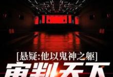 完结版《悬疑：他以鬼神之躯，审判天下罪恶》在线免费阅读-推书帮