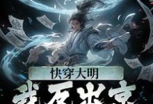 主人公叫苏白朱元璋的小说快穿大明：我反出京师对抗皇帝在线阅读章节-推书帮