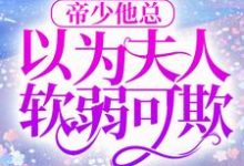 完结版《帝少他总以为夫人软弱可欺》章节阅读-推书帮