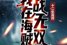 完结版《十二生肖符：我在海贼战无双》章节阅读-推书帮