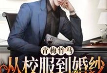 完结版《青梅竹马：从校服到婚纱从来只有你》免费阅读-推书帮