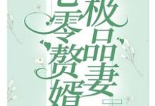 七零赘婿极品妻免费阅读，七零赘婿极品妻章节目录-推书帮