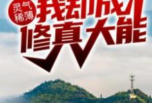 完结版《灵气稀薄，我却成修真大能？》章节目录在线阅读-推书帮