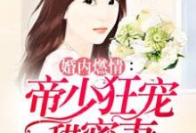 《婚内燃情：帝少狂宠甜蜜妻》全集免费在线阅读（斯皓宸简熙简世勋）-推书帮