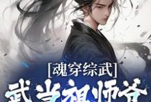 求魂穿综武：武当祖师爷出山了小说的全文免费阅读链接-推书帮