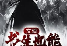 主角叫李长安安南栀小说文道：书生也能破万军章节免费阅读-推书帮