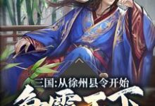 三国：从徐州县令开始争霸天下小说完结版章节免费阅读-推书帮