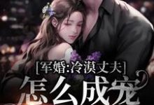 小说《军婚：冷漠丈夫怎么成宠妻狂魔了》章节免费阅读-推书帮